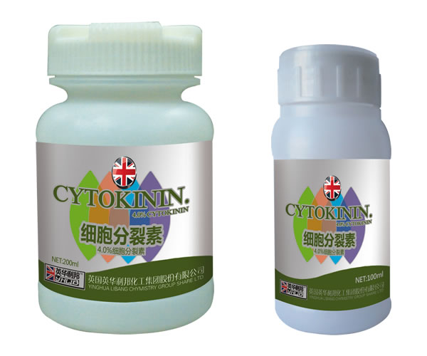 ϸ��������