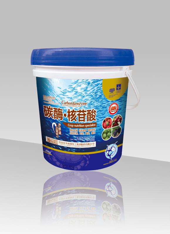 ̼ø▪������